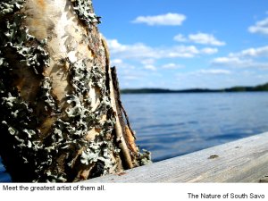 South Savo Nature
